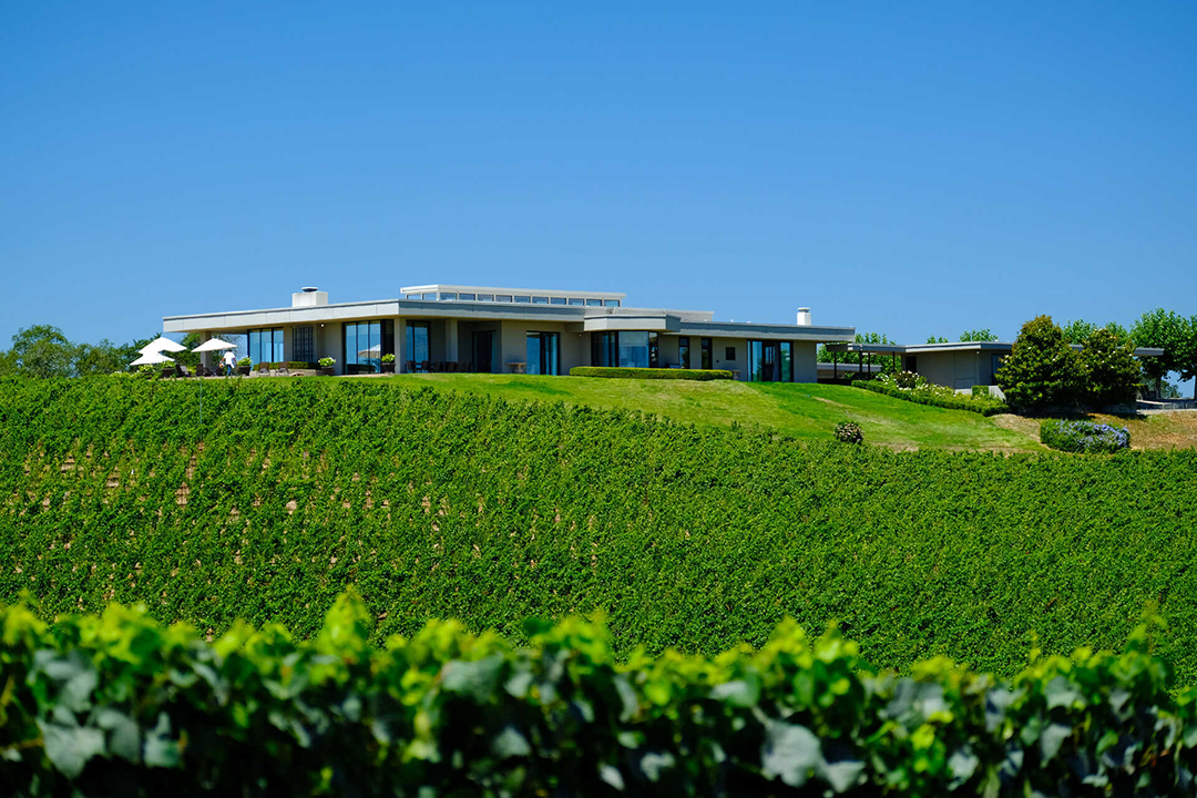 A set back image of the Russian River Estate Vineyard in Sebastopol, California