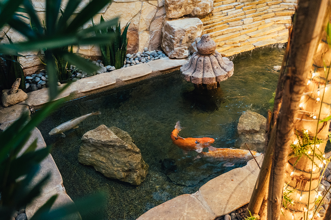 Musician Tommy Lee Lists Bold Yet Zen Custom Mansion In Calabasas Pond