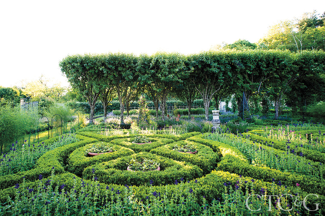 A circular arrangement of boxwood completed with purple flowers.