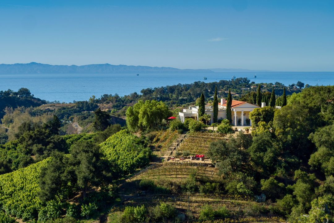 Southern California Santa Barbara Estate Vineyard