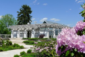Norman Jaffe Home Hydrangeas