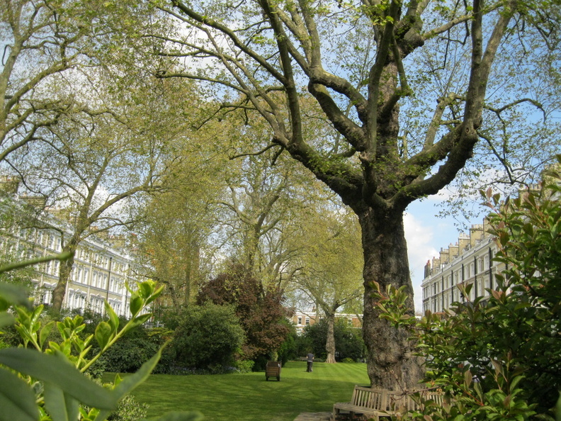 Cranley Gardens Kensington London Mansion Communal Gardens