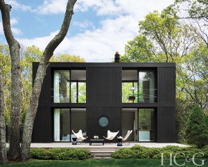 Dmitchell Hcg Copecesln 01