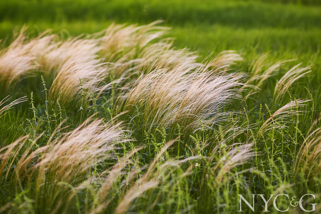 Shutterstock 1921612631