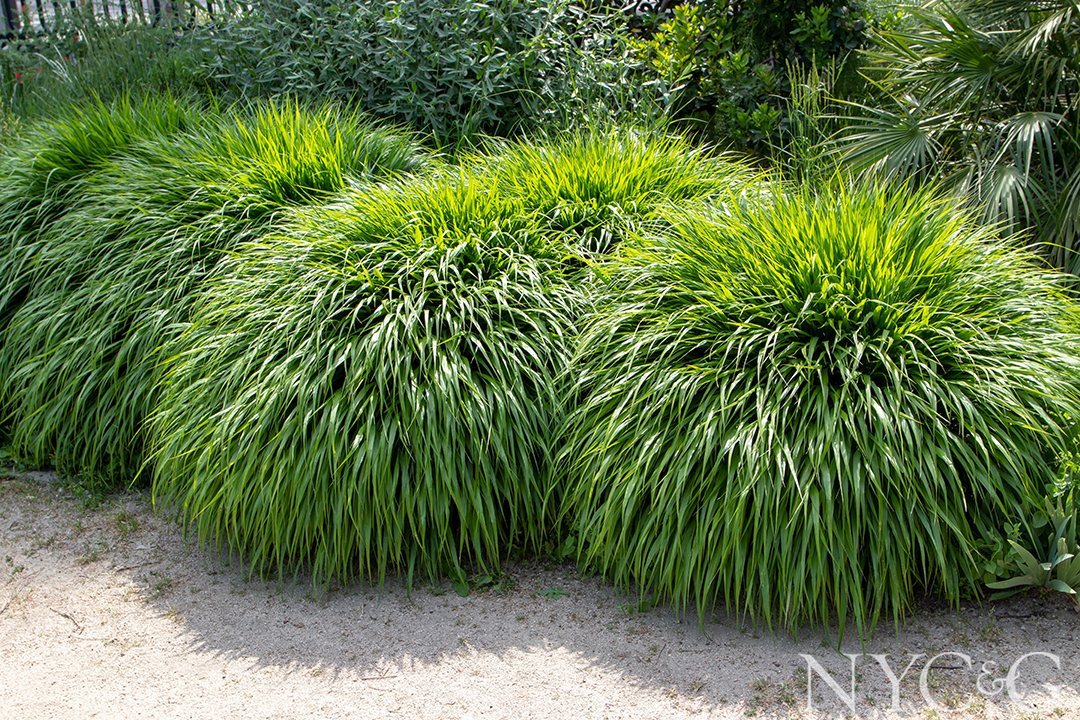 Shutterstock 2160403505