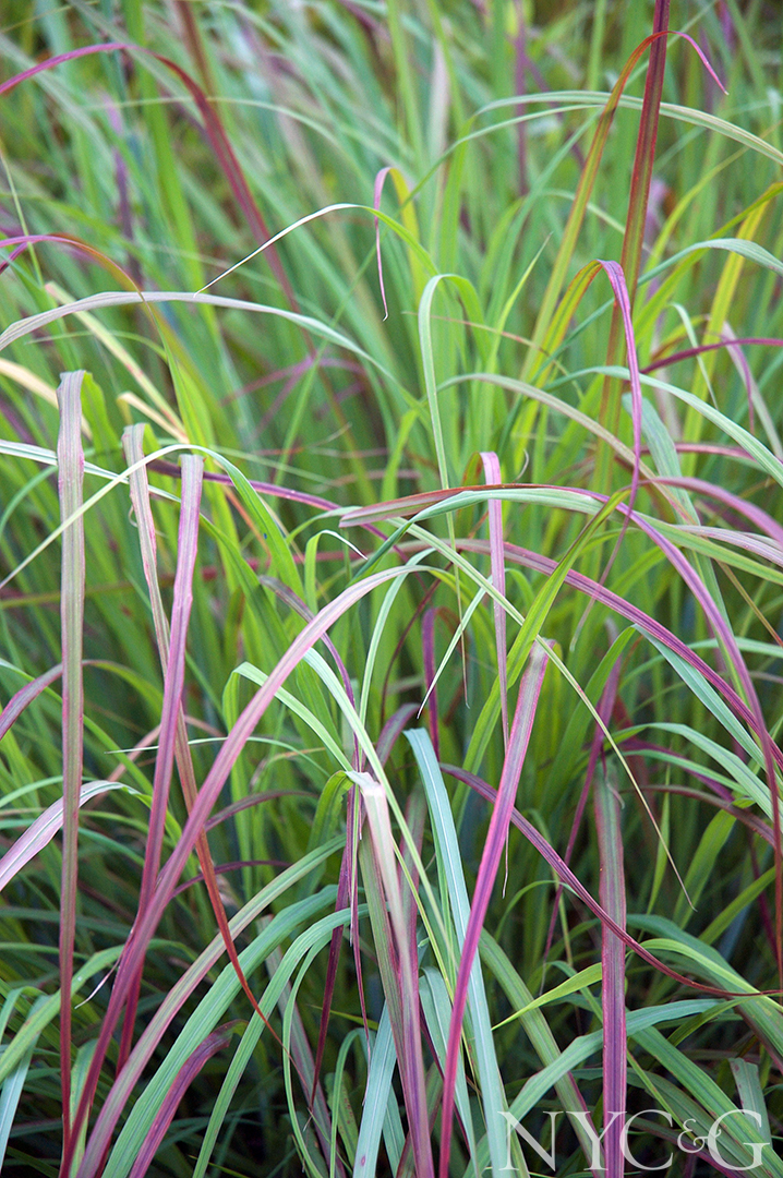 Shutterstock 1021796254