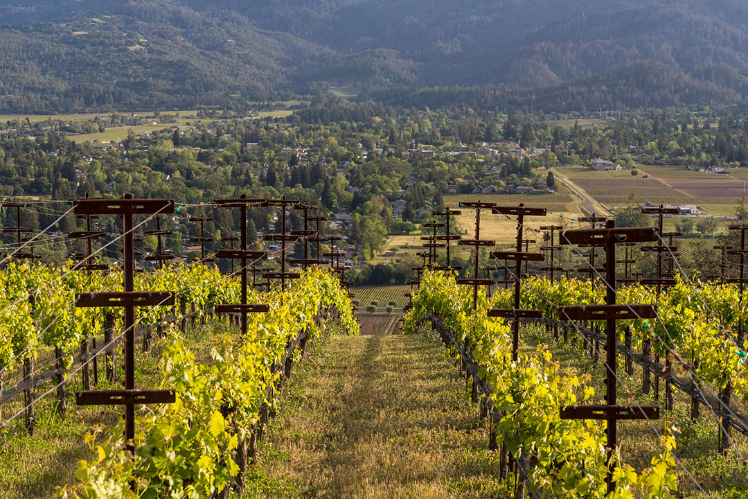 7 Stones Top 40 Mls 35