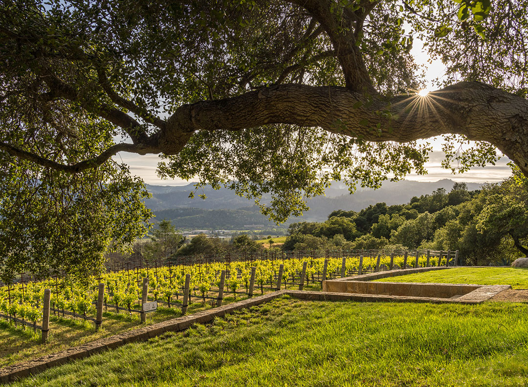 7 Stones Top 40 Mls 36