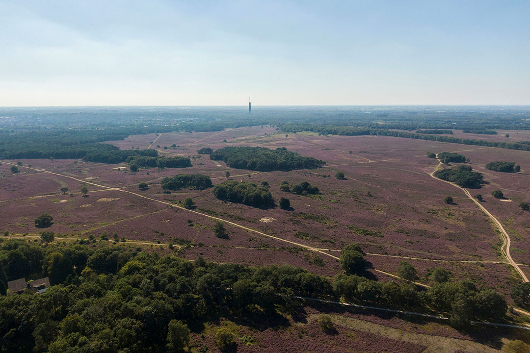 Netherlands Home Nature Preserve