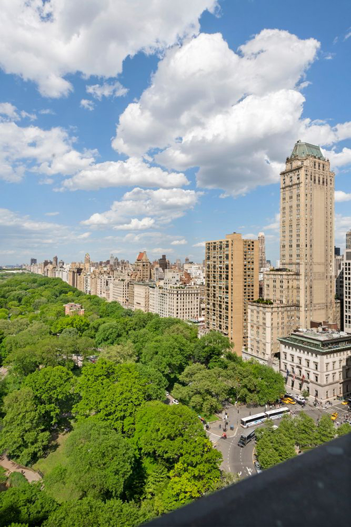 A Majestic Merger Two Adjacent Units List Together For 31 4m At The Plaza Hotel C