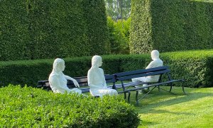 All About the Hamptons’ Iconic Privet Hedges