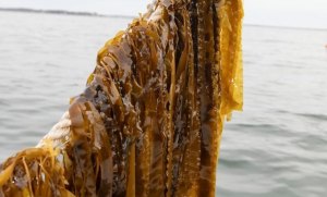 The Latest From Connecticut and Beyond