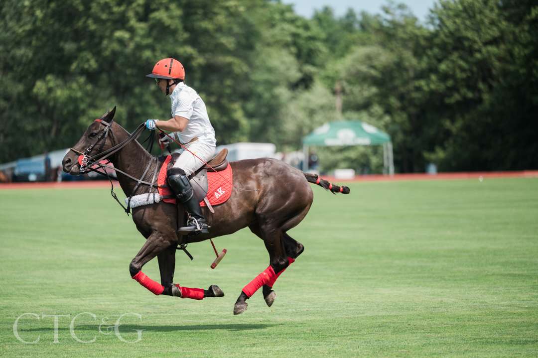 Polo player and horse at Greenwich Polo Club