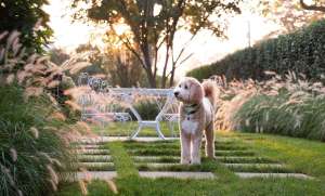 Janice Parker Reimagines a Marsh-Front Retreat in Old Greenwich