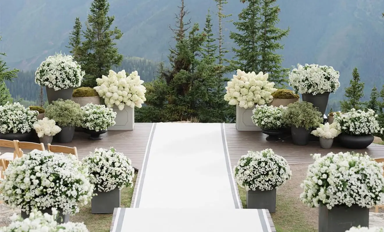 Party Pro Michelle Rago Shares Entertaining Tips Ahead of the Holiday Season