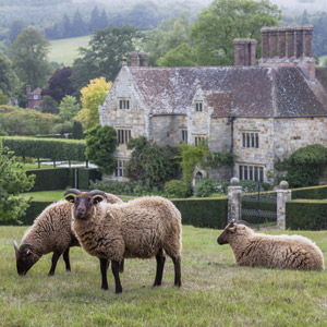 Frances Homan Jue Explores the Wonders of England&rsquo;s National Trust Gardens