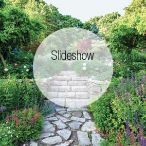 This Branford Garden Boasts an Unexpected Mix of Magnificent Flora