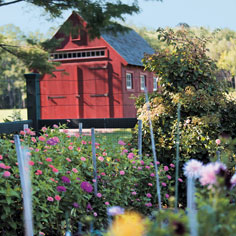 Landscape Innovator Winners