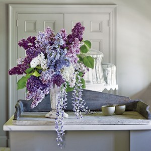 Martha Stewart Extols Her Love of Lilacs