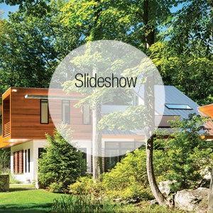 Architect George Dumitru Creates a Clean-Lined Modern Home That Celebrates Its Surroundings