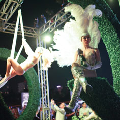 South Beach Bacchanalia