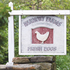 Perfect Harmony Image Gallery