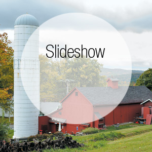 Delicious Things are Happening at White Silo Farm & Winery