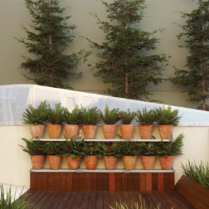 Walter Hood Discusses His Telegraph Hill Rooftop Garden