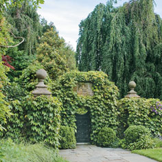 Landscape Winner: Alice Cooke Design Associates, LLC