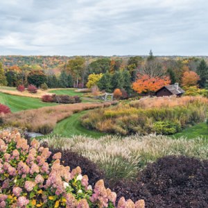 Richard Hartlage Creates a Stunning Intersection of Art and Nature in Redding