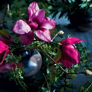 Floral Designer Louesa Roebuck and Design Editor Sarah Lonsdale Create Natural Backdrops for the Holidays