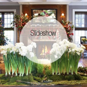 Inside a Festive Westport Home by Fraizer Peters