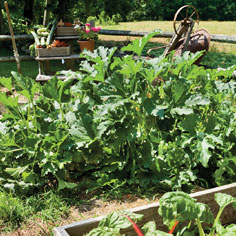 The indoors out Image Gallery