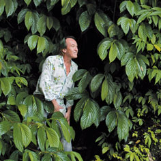 The Art of Designing Vertical Gardens