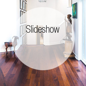 GALLERY Tour a Greenwich Contemporary Where Whimsical Antiques Mix with Serious Furnishings