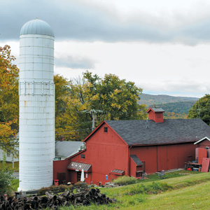 Delicious Things are Happening at White Silo Farm & Winery