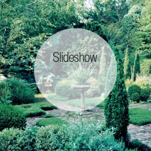 Tour an Established Wainscott Garden