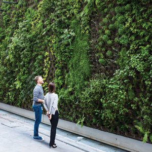 The Largest Vertical Garden in the Country Debuts with the New SFMOMA