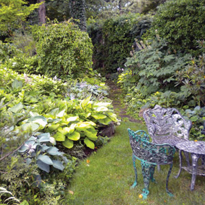 A Q&A with Jenny Du Pont, President of The Garden Conservancy