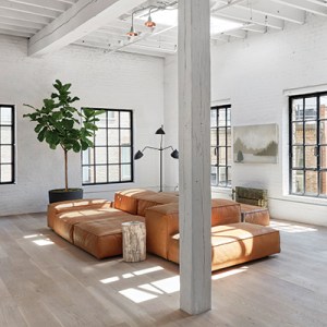 Designer Als&uacute;n Keogh Shapes Up an Exercise Guru's SoHo Loft