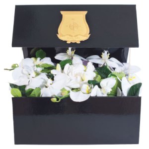 6 Questions for Rising Star Floral Brand High Camp Supply