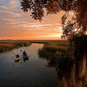 Get to Know More About the Dataw Island Club in Beaufort, South Carolina