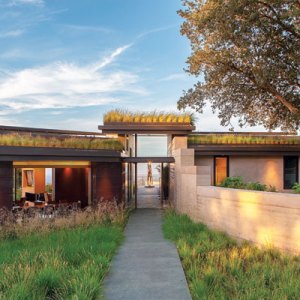 Tour a Cool Eco-Conscious Los Altos Hills Home