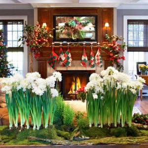 Inside a Festive Westport Home by Fraizer Peters