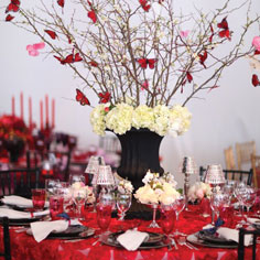 Red & White Ball 2011