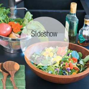 Tour a Lush Family Garden in New Canaan