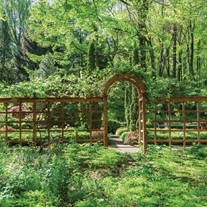 Tour a Carefree Naturalistic Garden in Newtown