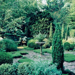 Tour an Established Wainscott Garden