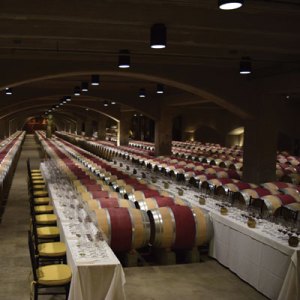 Wine Critics Taste Vintages Going Back to the 1960s for Robert Mondavi Winery's 50th Anniversary