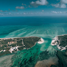 Parrot Cay